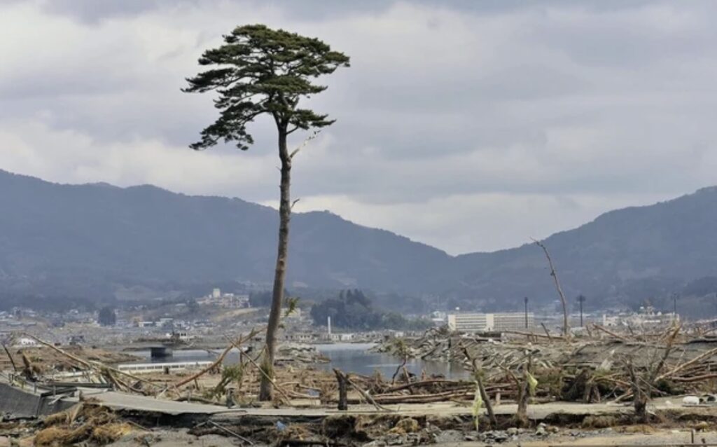 東日本大震災・奇跡の一本松